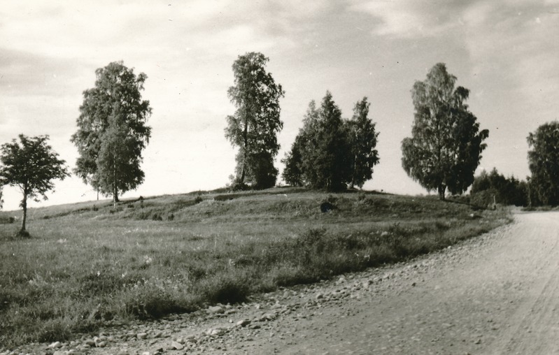 Kiviaja asulakoht "Lammasmägi" Kunda lähedal