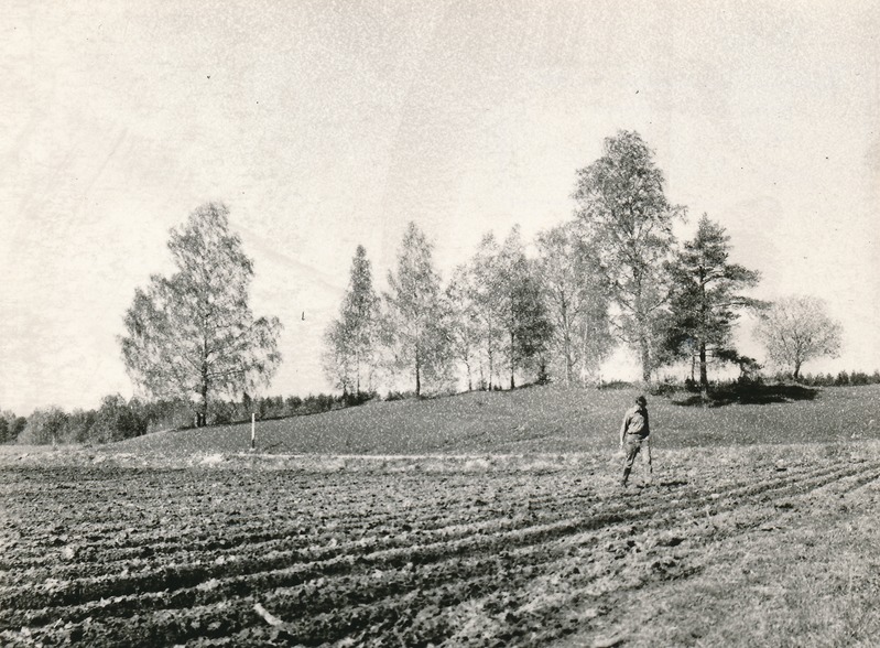 Lammasmägi Kunda lähedal