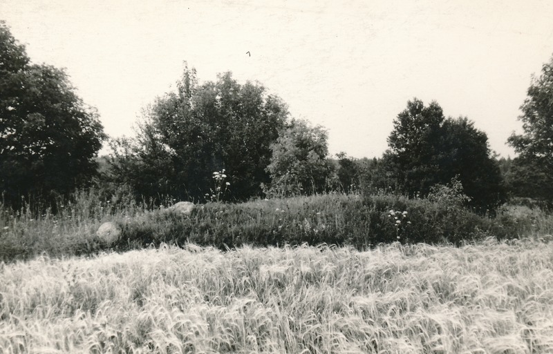 Kivikalme KarulaVihula vahel Helmut Joonuks Ajapaik