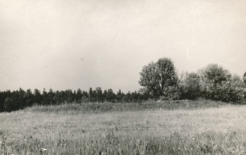 Kivikalme Vihula mõisa lähedal