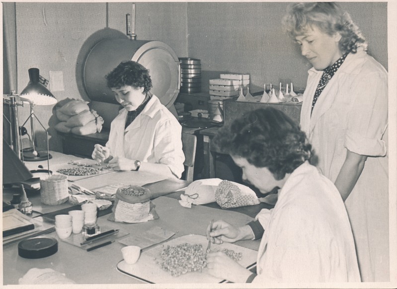 Tapa rajooni seemnekontrolli laboris