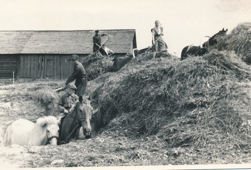 Silo valmistamine Järve kolhoosis