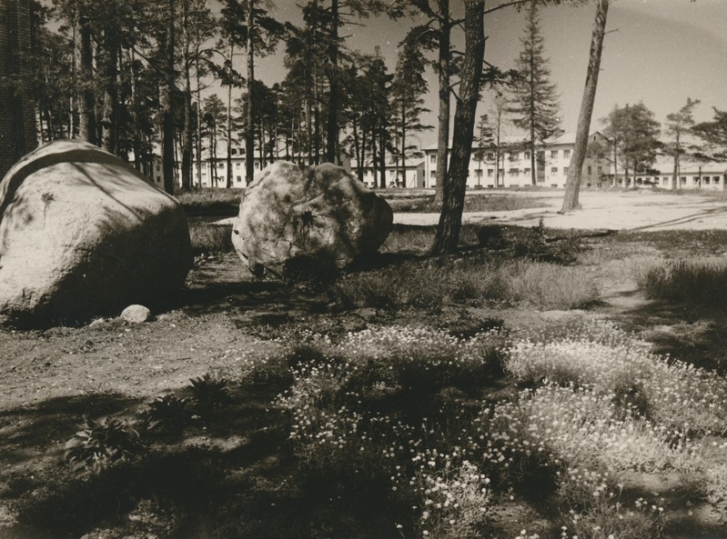Elamurajoon Kundas