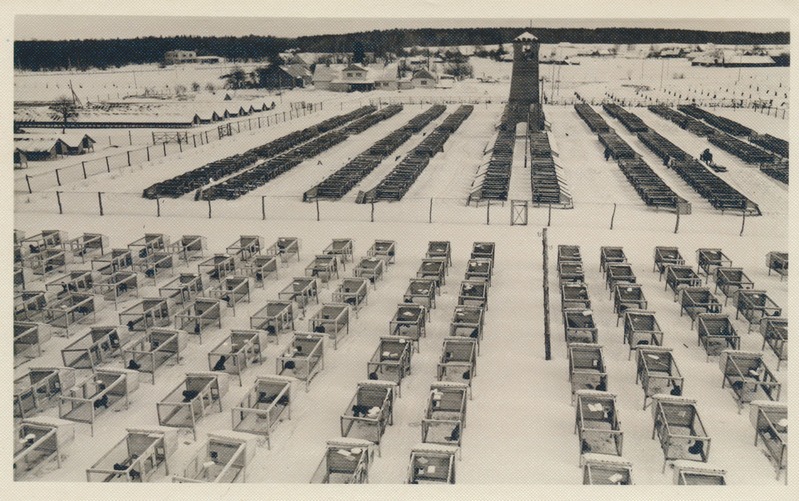 Vaade Eduard Vilde nim. kolhoosi karusloomafarmile