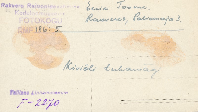 Kiviõli tuhamägi