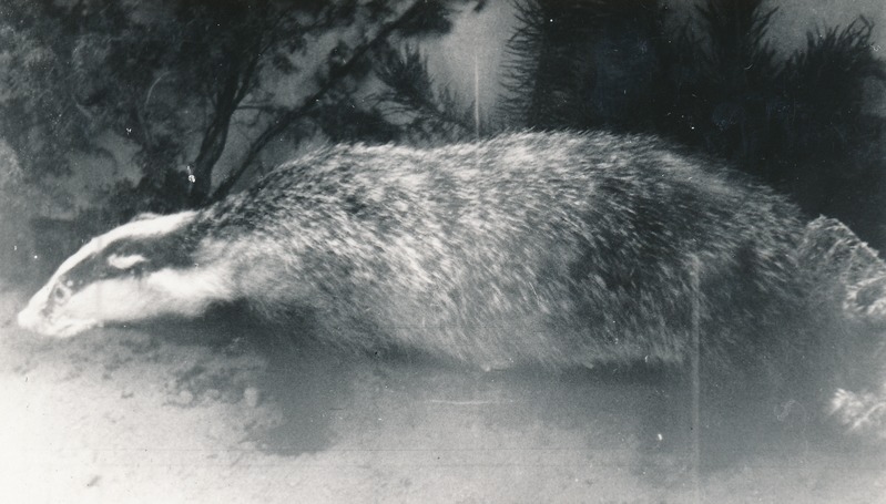 Mägra topis loodusteaduse osakonnas