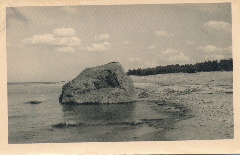 Rutja