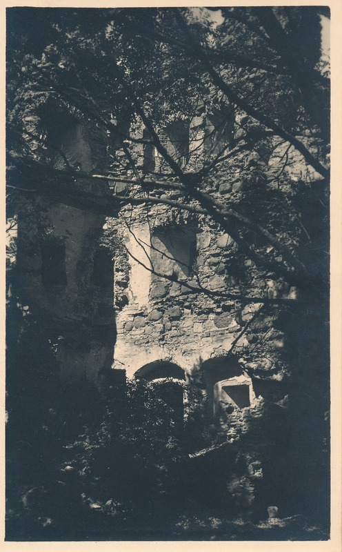 Edise mõisa varemed