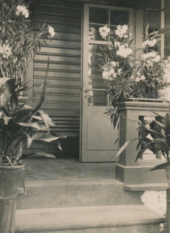 Rakvere, Tõusu 2 Adoffi maja