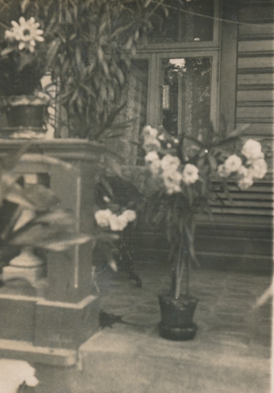 Rakvere, Tõusu 2 Adoffi maja