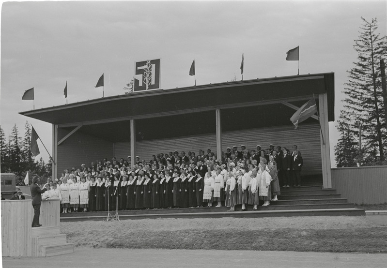 Tapa linna 50. aastapäeva pidustused