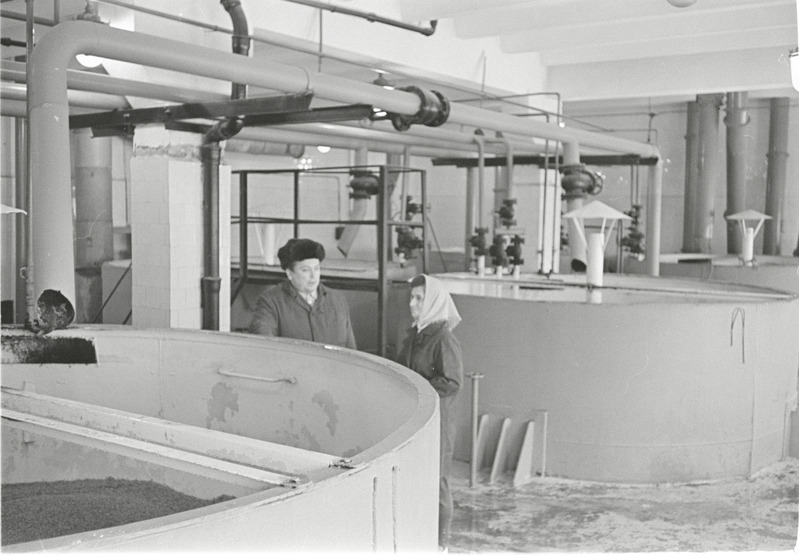 Rakvere Linnasetehas