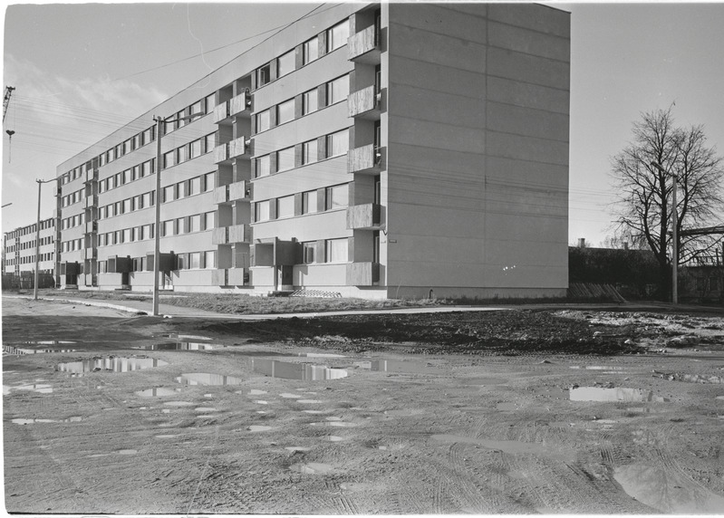 Rakvere, Kungla tänav