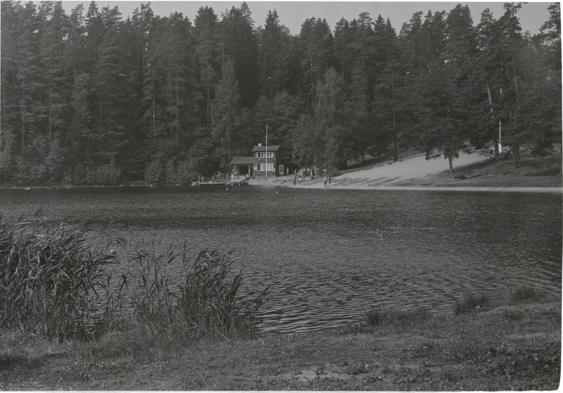Viitna Suurjärv