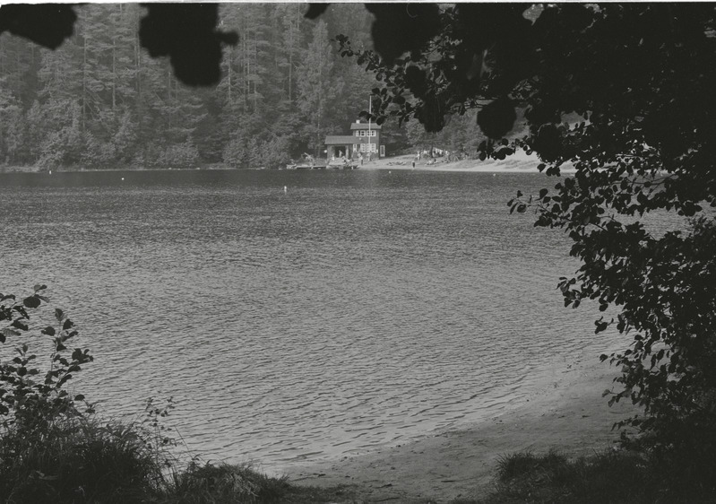 Viitna Suurjärv