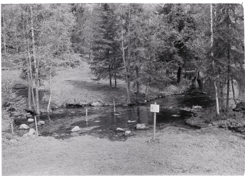 Põlula ohvriallikas