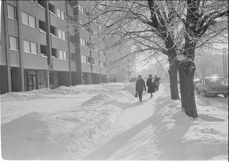 Rakvere. Laada tänav