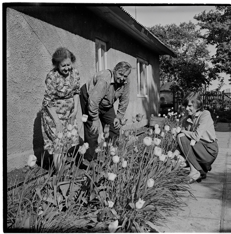 Vihula. Perekond Rom oma koduaias