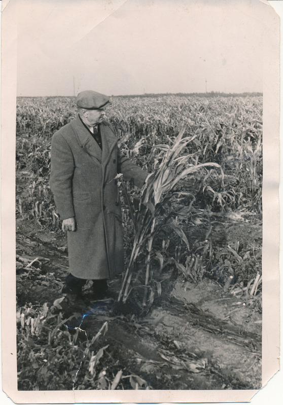 Hugo Praks Vaeküla põllul