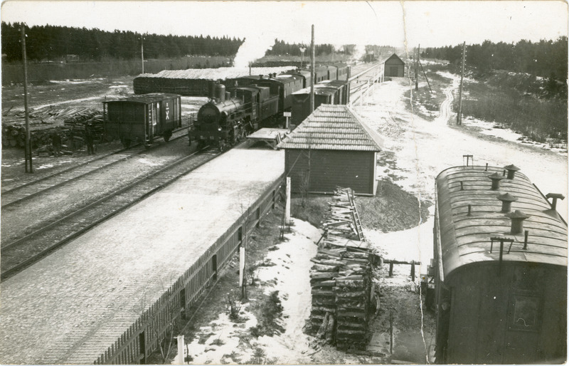 Reisirong saabub Ellamaa jaama, 1920. a. lõpp või 1930. a. algus.