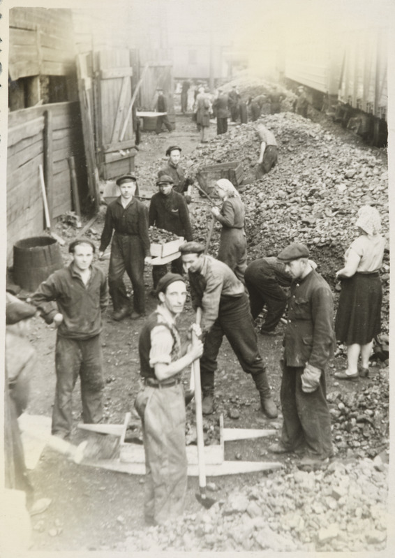 Tallinna vagunijaoskond: kütte varumine talveks, 1956.