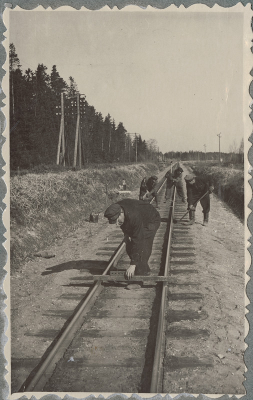 Tallinn-Väike teejaoskond: 62. piirkonna 622. brigaadi töötajad teed korrastamas, 1953.