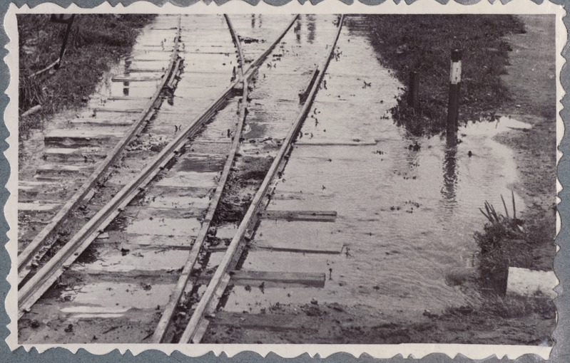 Tallinn-Väike teejaoskond: üleujutatud kitsarööpmeline pööre Tallinnas, august 1954.