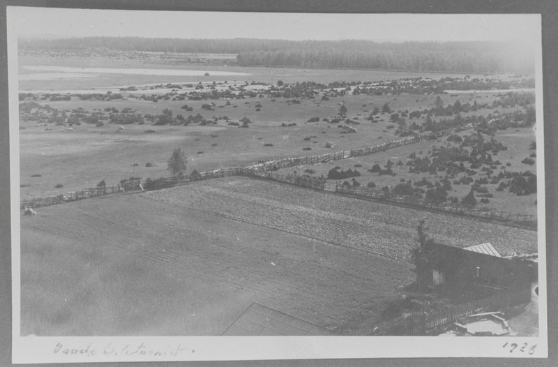 Vaade Saxby tuletornist