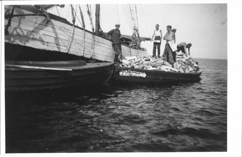 Kutter “Hemma” lastimine