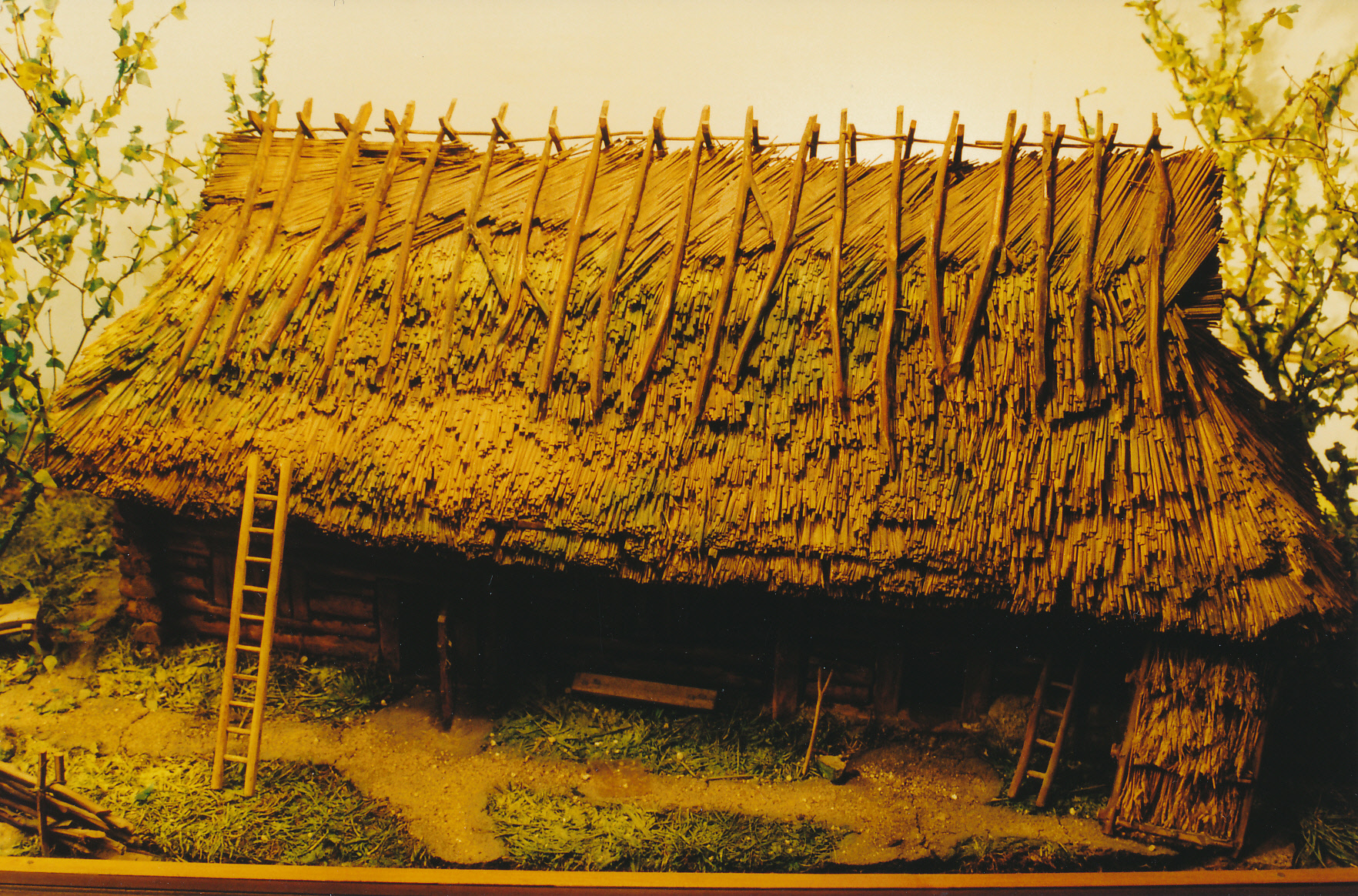 Näitused 2000.a.Rehielamu mudel Läänemaa muuseumist.