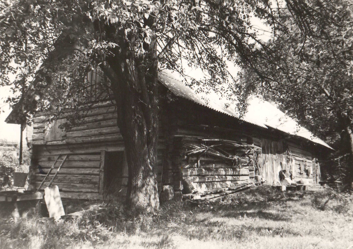 Hollingers forstu
