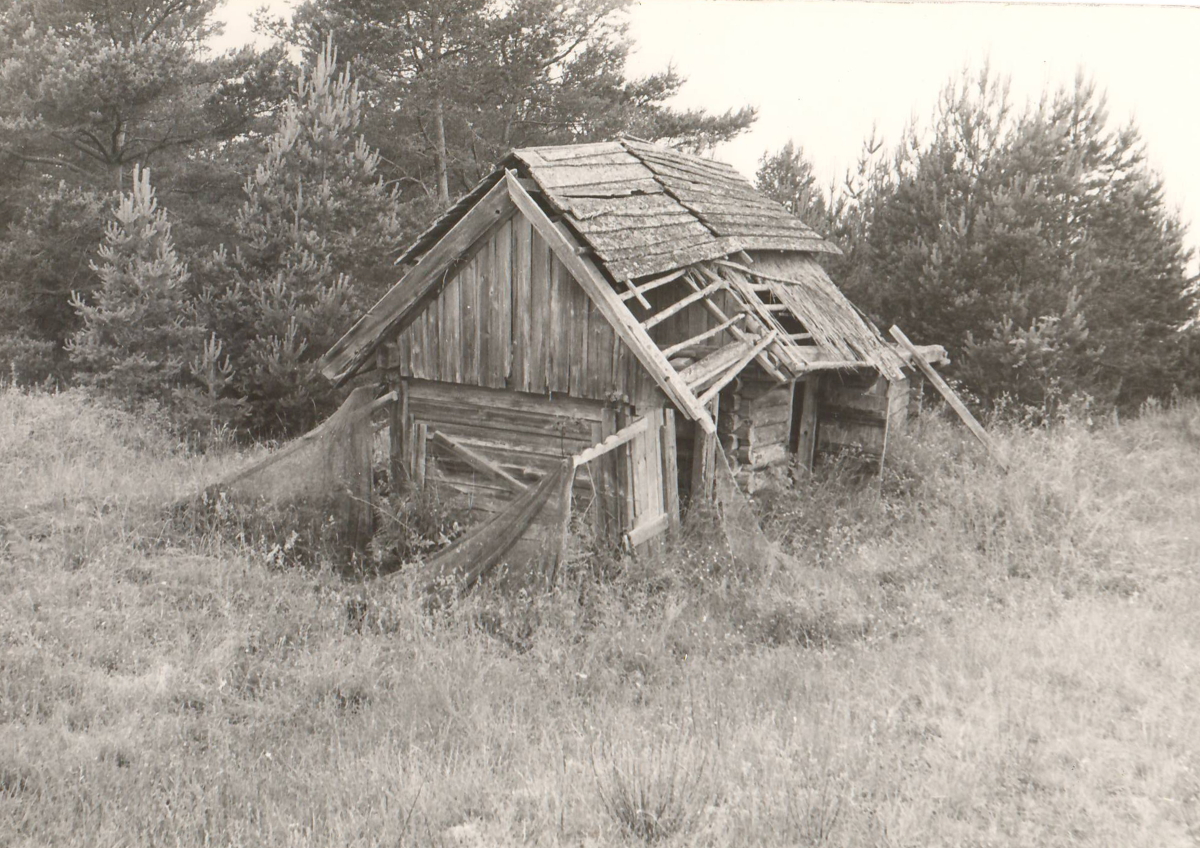 Võrgukuur Kuunsis