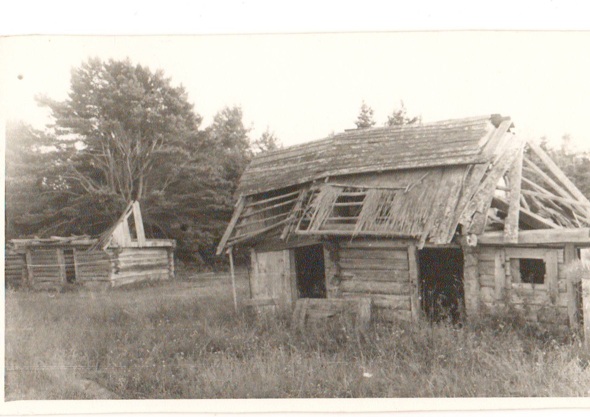 Kuunsi võrgukuurid