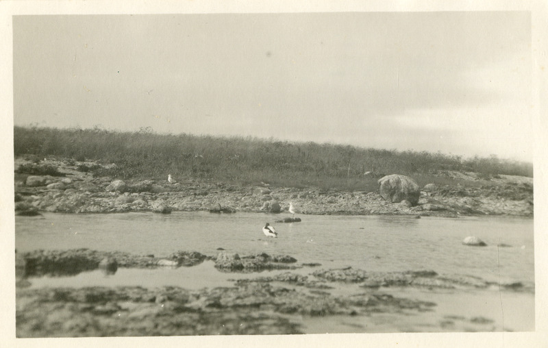 Saaremaa rand
