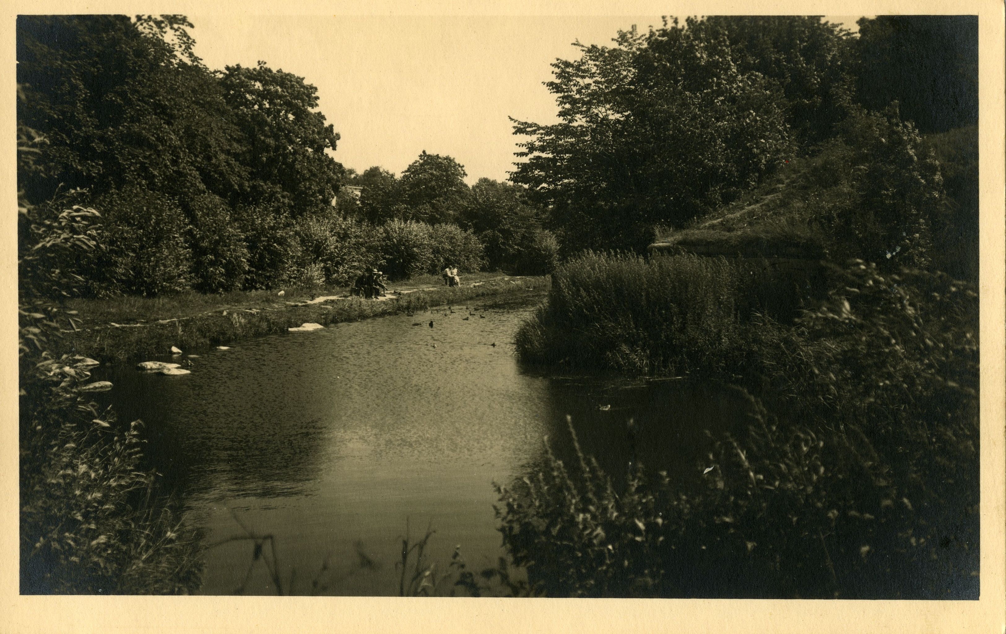 Kuressaare Lossipargi nn. parditiik