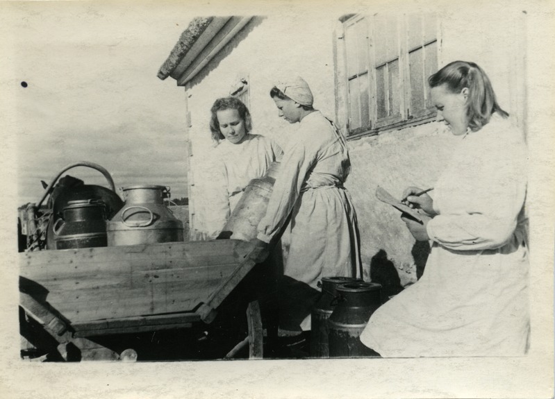 Kõljala Põllunduskool: õpilased tõstavad hobuvankrilt piimanõusid maha