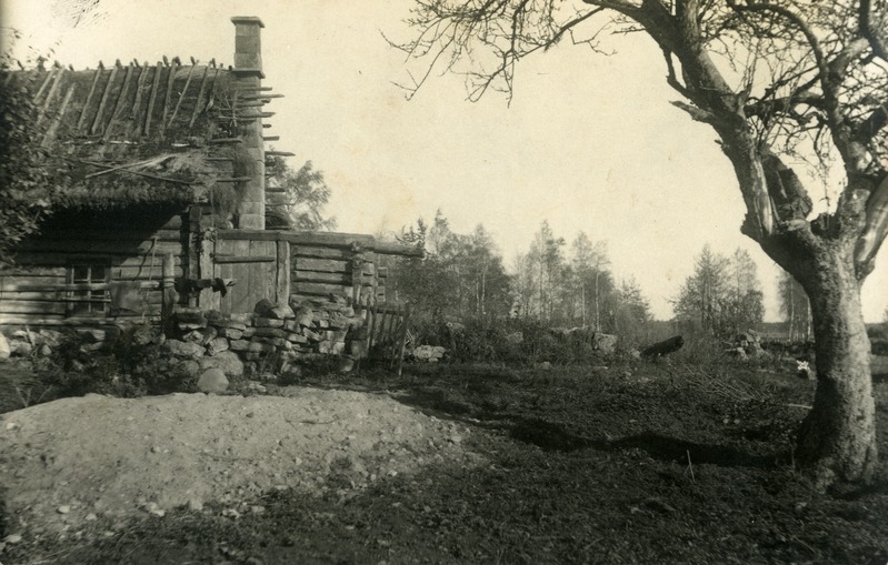 Putla vana koolimaja