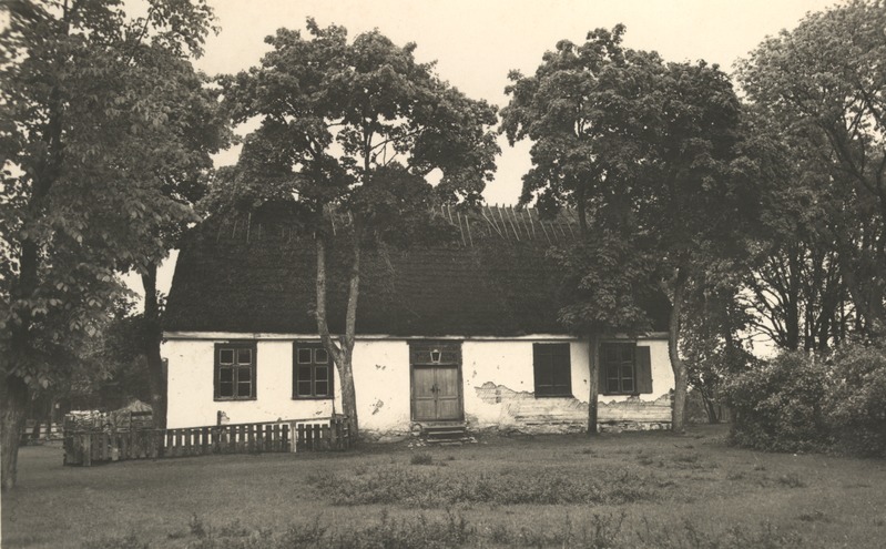 Kaavi algkool