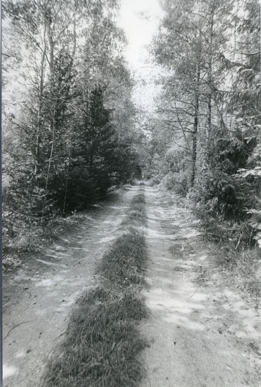 Raudteetamm Kodaramägedes.