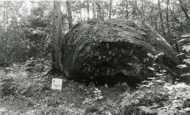 Türiseniidi kivi Võhma küla lähedal.