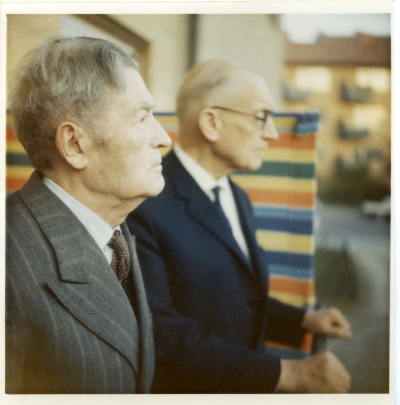 Johannes ja Joosep Aavik