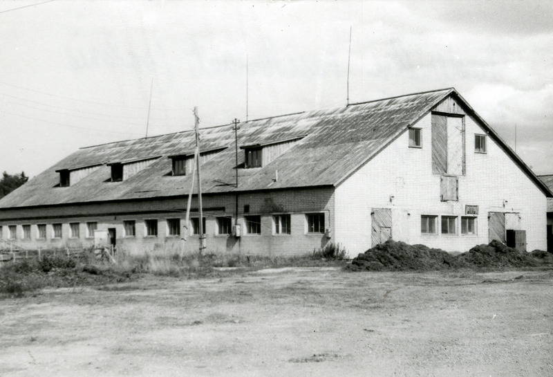 Paderiku vasikalaut Lümandas