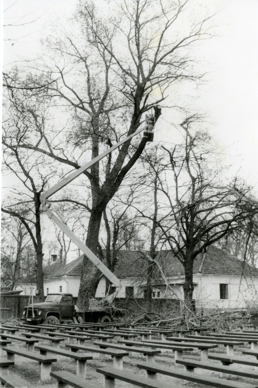 Suure papli mahavõtmine Lossihoovis