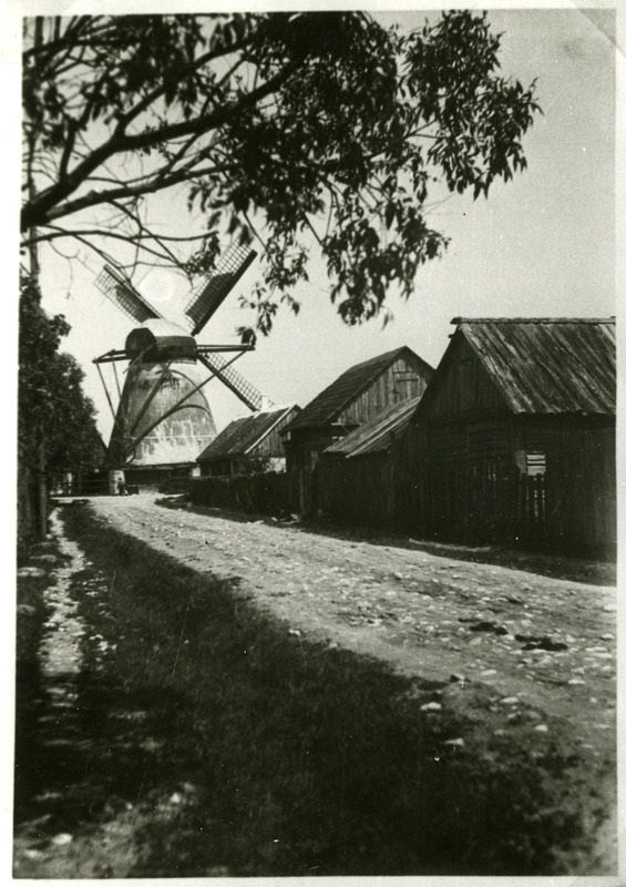 Hollandi tuulik Pärna tänavas