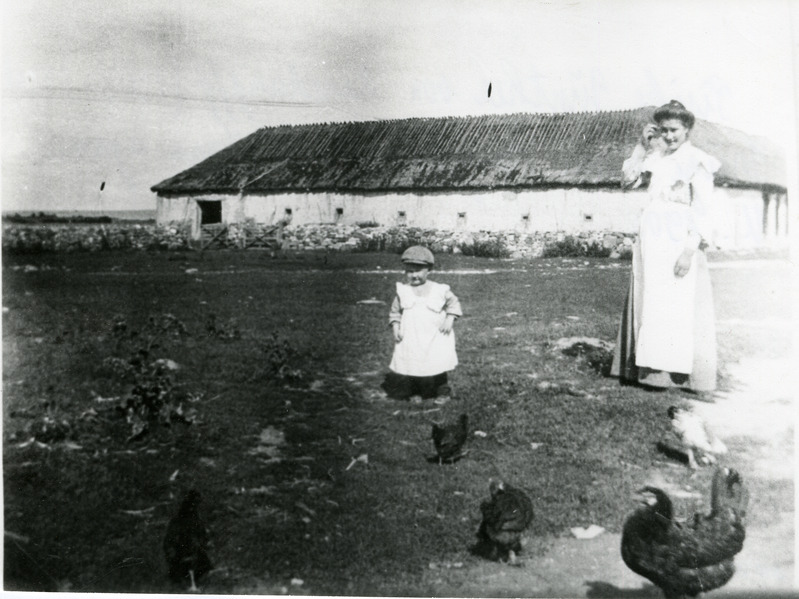 Günther von Rehekampff Triigi  mõisa karjaaias kanu taga ajamas