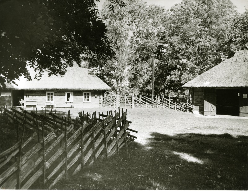 Mihkli Talumuuseumi õu