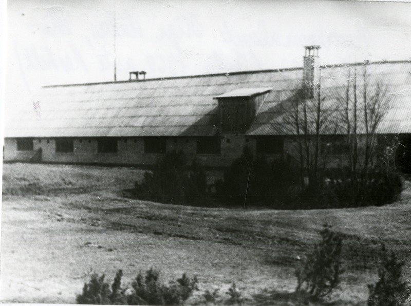 Noorloomalaut Kipi külas