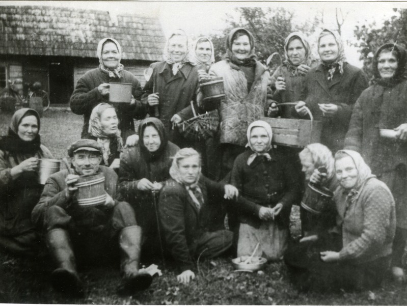 Kartulivõtu lõpetamine Koidula kolhoosi  I brigaadis