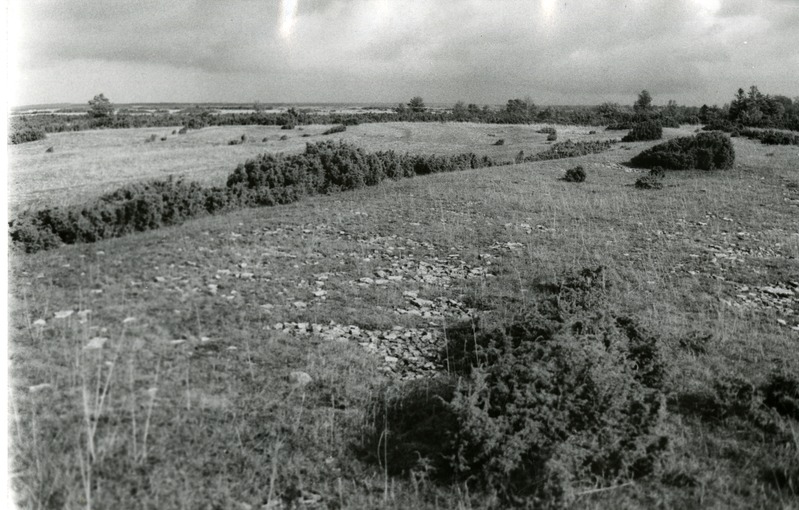 Rannavallid Loodes rannas