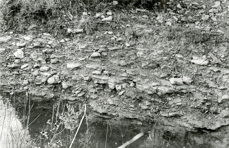 Kuressaare lademe paljand Kudjape küla kraavis